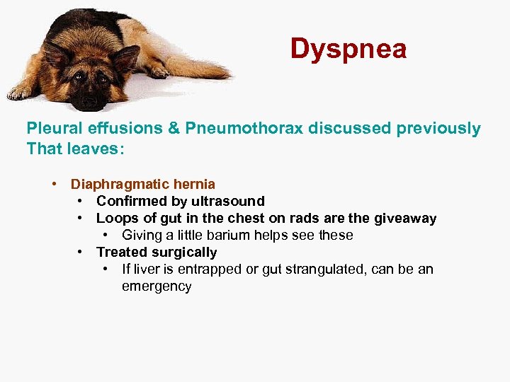 Dyspnea Pleural effusions & Pneumothorax discussed previously That leaves: • Diaphragmatic hernia • Confirmed