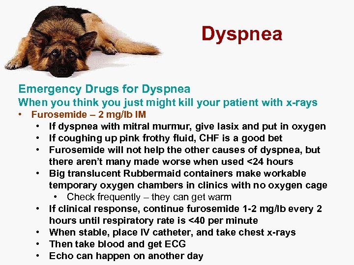 Dyspnea Emergency Drugs for Dyspnea When you think you just might kill your patient