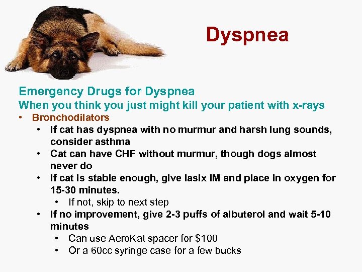 Dyspnea Emergency Drugs for Dyspnea When you think you just might kill your patient