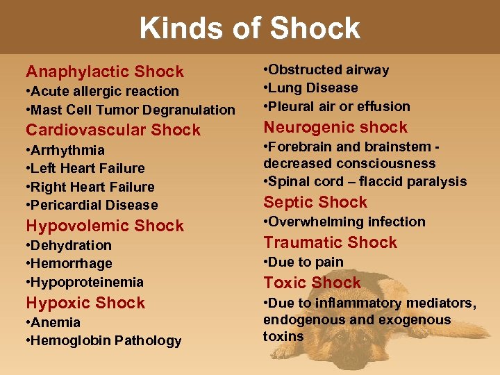 Kinds of Shock Anaphylactic Shock • Acute allergic reaction • Mast Cell Tumor Degranulation