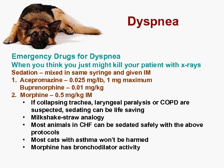 Dyspnea Emergency Drugs for Dyspnea When you think you just might kill your patient