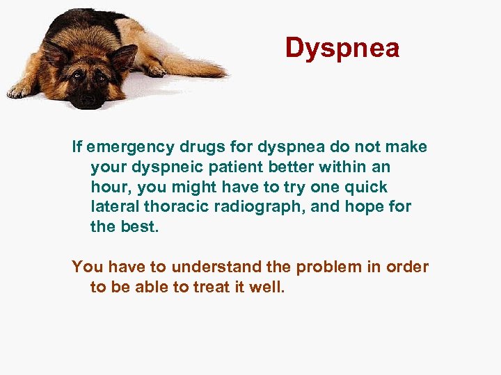 Dyspnea If emergency drugs for dyspnea do not make your dyspneic patient better within