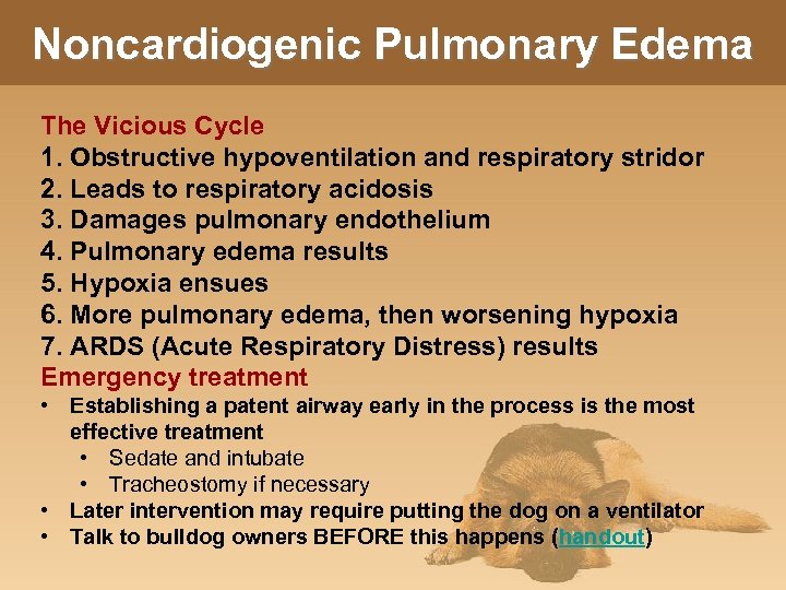 Noncardiogenic Pulmonary Edema The Vicious Cycle 1. Obstructive hypoventilation and respiratory stridor 2. Leads