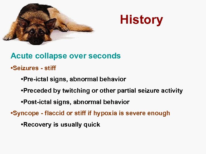 History Acute collapse over seconds • Seizures - stiff • Pre-ictal signs, abnormal behavior