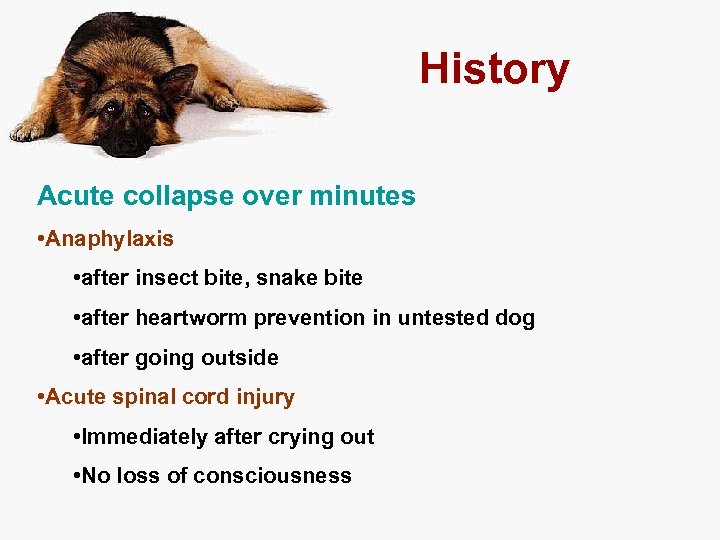 History Acute collapse over minutes • Anaphylaxis • after insect bite, snake bite •