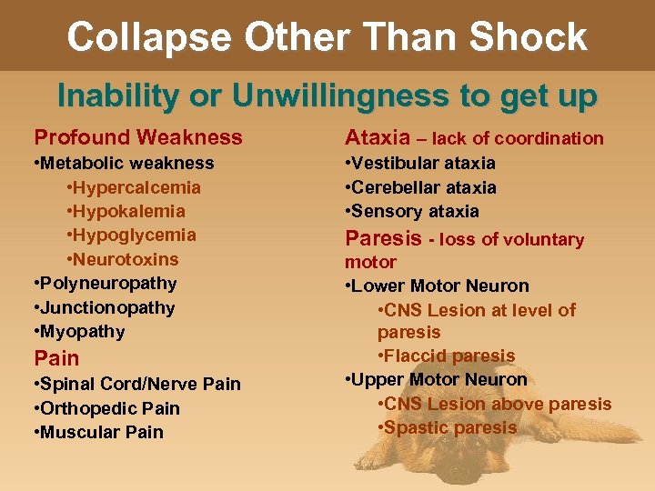 Collapse Other Than Shock Inability or Unwillingness to get up Profound Weakness Ataxia –