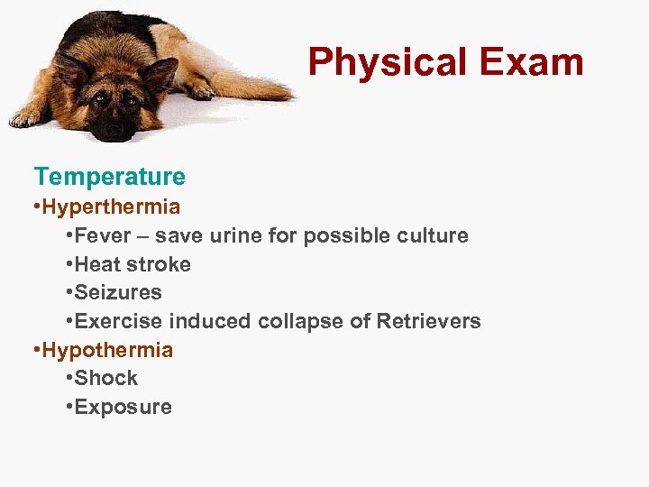 Physical Exam Temperature • Hyperthermia • Fever – save urine for possible culture •