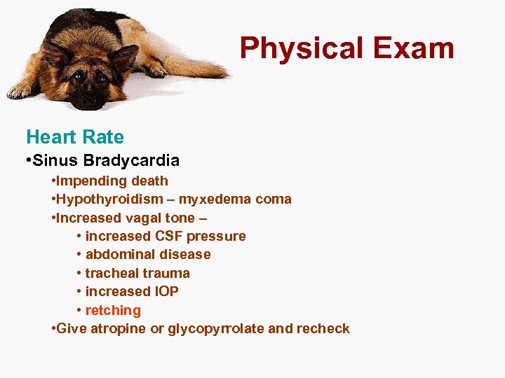 Physical Exam Heart Rate • Sinus Bradycardia • Impending death • Hypothyroidism – myxedema