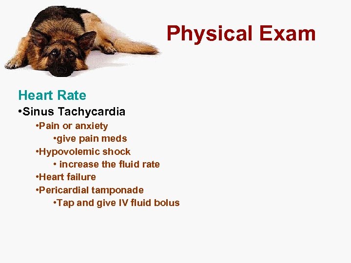 Physical Exam Heart Rate • Sinus Tachycardia • Pain or anxiety • give pain