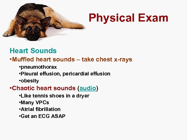 Physical Exam Heart Sounds • Muffled heart sounds – take chest x-rays • pneumothorax