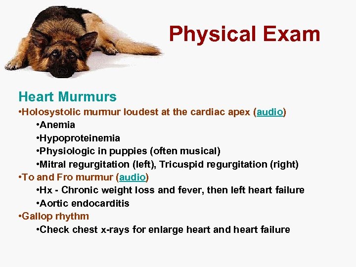 Physical Exam Heart Murmurs • Holosystolic murmur loudest at the cardiac apex (audio) •