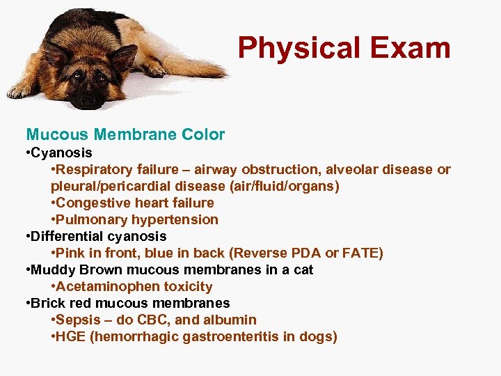 Physical Exam Mucous Membrane Color • Cyanosis • Respiratory failure – airway obstruction, alveolar