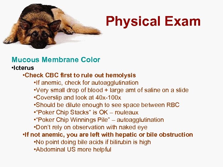 Physical Exam Mucous Membrane Color • Icterus • Check CBC first to rule out