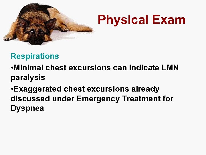 Physical Exam Respirations • Minimal chest excursions can indicate LMN paralysis • Exaggerated chest