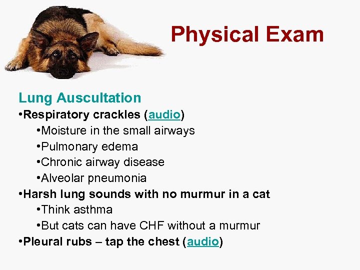 Physical Exam Lung Auscultation • Respiratory crackles (audio) • Moisture in the small airways