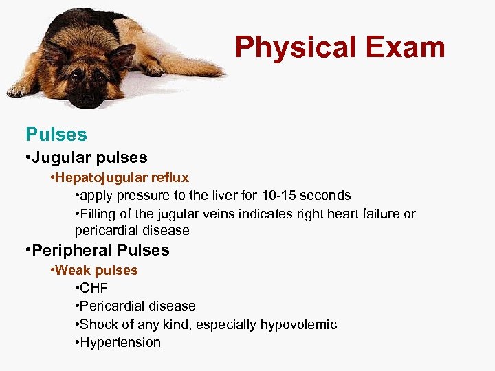 Physical Exam Pulses • Jugular pulses • Hepatojugular reflux • apply pressure to the