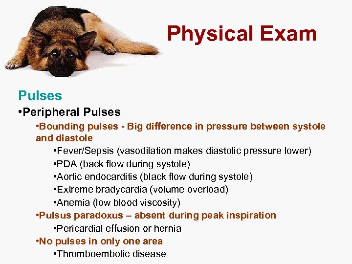 Physical Exam Pulses • Peripheral Pulses • Bounding pulses - Big difference in pressure