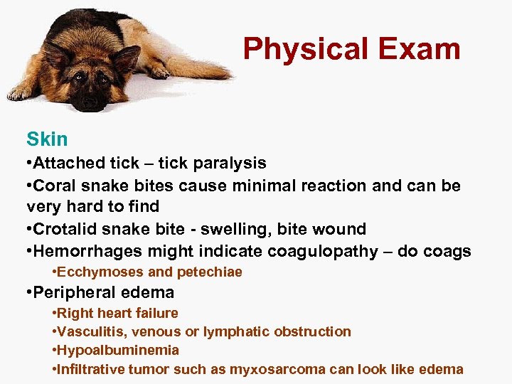 Physical Exam Skin • Attached tick – tick paralysis • Coral snake bites cause