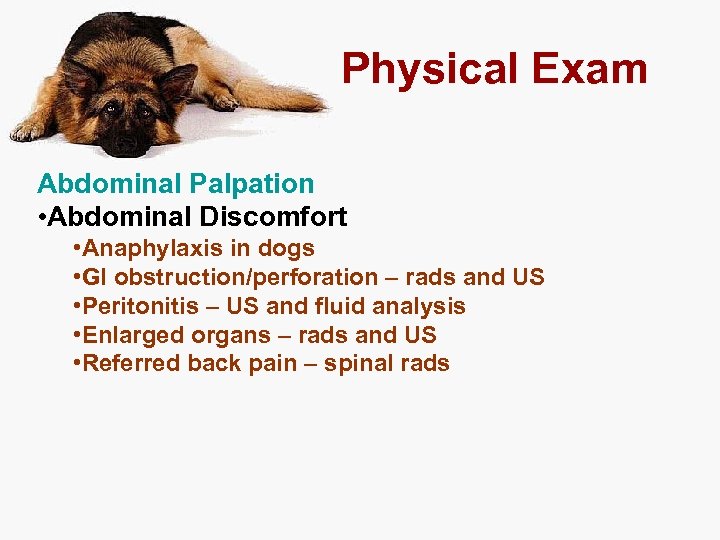 Physical Exam Abdominal Palpation • Abdominal Discomfort • Anaphylaxis in dogs • GI obstruction/perforation