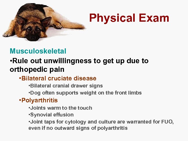 Physical Exam Musculoskeletal • Rule out unwillingness to get up due to orthopedic pain