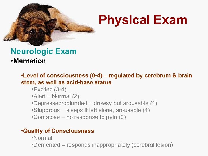 Physical Exam Neurologic Exam • Mentation • Level of consciousness (0 -4) – regulated