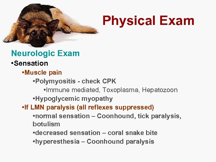 Physical Exam Neurologic Exam • Sensation • Muscle pain • Polymyositis - check CPK