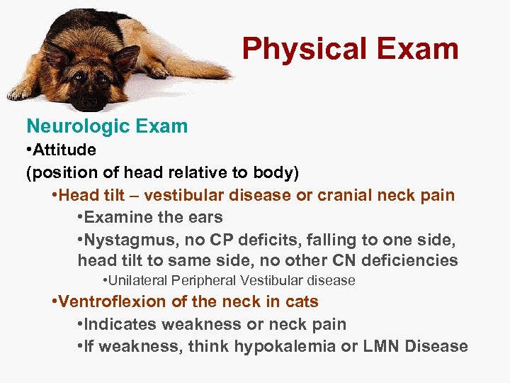 Physical Exam Neurologic Exam • Attitude (position of head relative to body) • Head