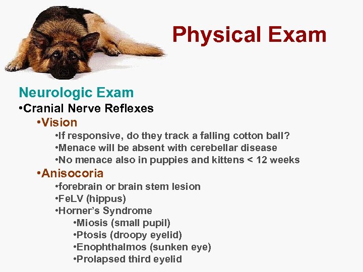 Physical Exam Neurologic Exam • Cranial Nerve Reflexes • Vision • If responsive, do