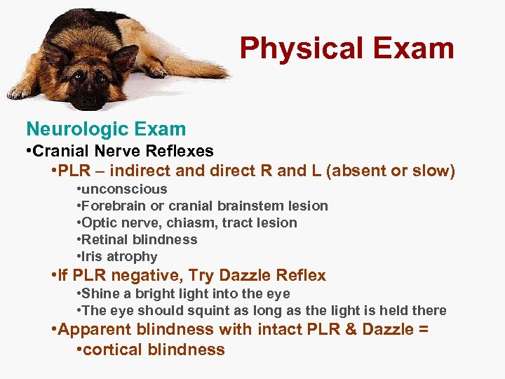 Physical Exam Neurologic Exam • Cranial Nerve Reflexes • PLR – indirect and direct