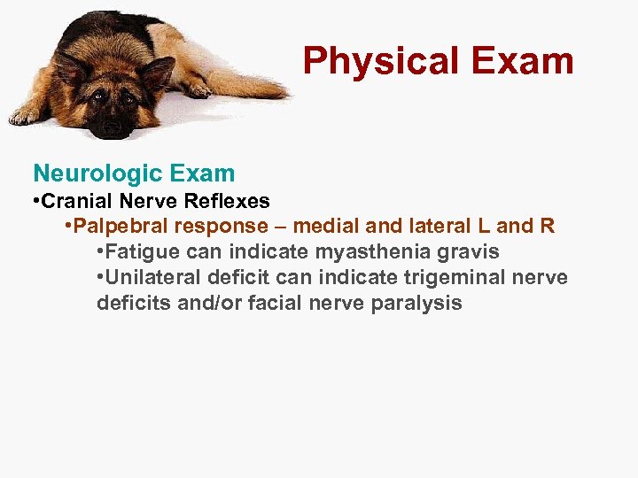 Physical Exam Neurologic Exam • Cranial Nerve Reflexes • Palpebral response – medial and