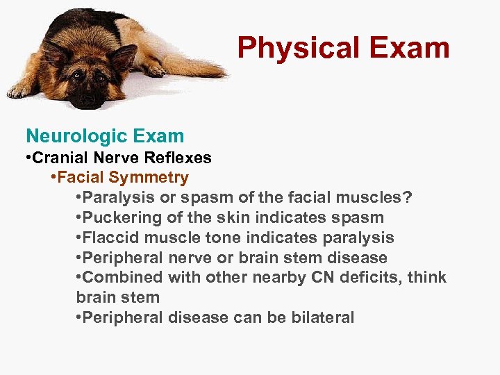 Physical Exam Neurologic Exam • Cranial Nerve Reflexes • Facial Symmetry • Paralysis or