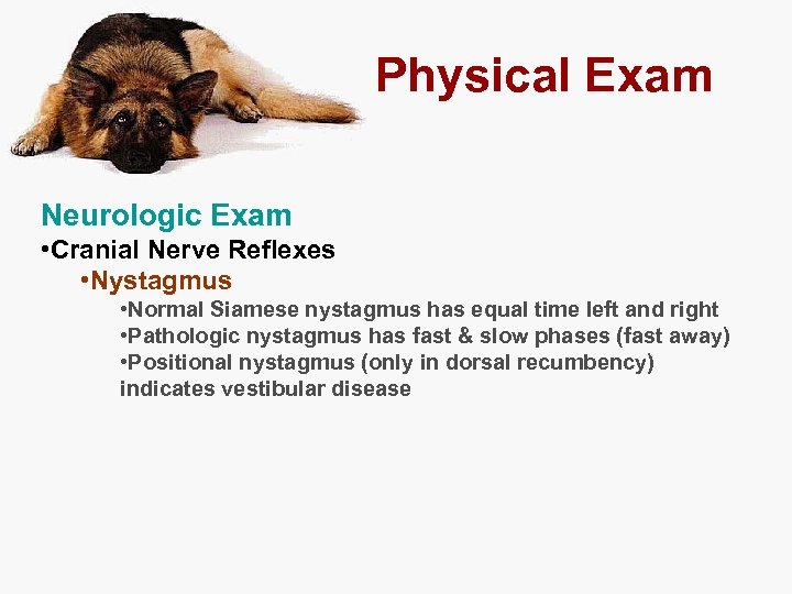 Physical Exam Neurologic Exam • Cranial Nerve Reflexes • Nystagmus • Normal Siamese nystagmus