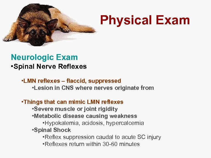 Physical Exam Neurologic Exam • Spinal Nerve Reflexes • LMN reflexes – flaccid, suppressed