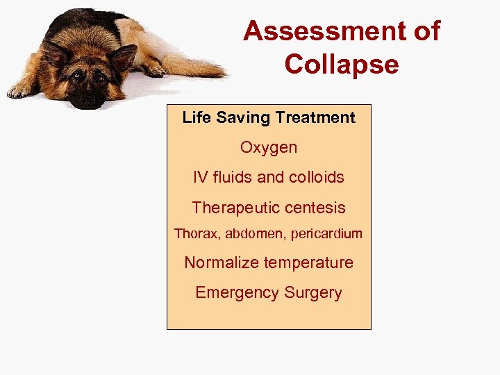 Assessment of Collapse Life Saving Treatment Oxygen IV fluids and colloids Therapeutic centesis Thorax,