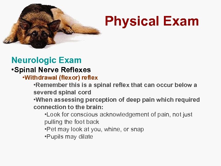 Physical Exam Neurologic Exam • Spinal Nerve Reflexes • Withdrawal (flexor) reflex • Remember