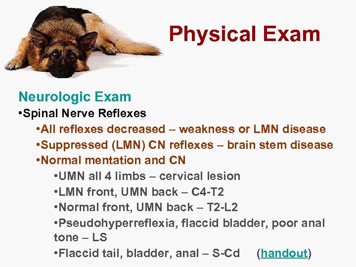 Physical Exam Neurologic Exam • Spinal Nerve Reflexes • All reflexes decreased – weakness