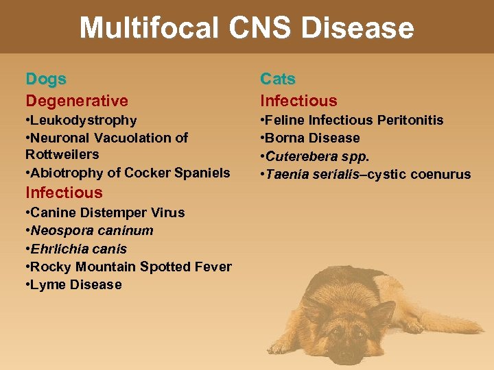 Multifocal CNS Disease Dogs Degenerative Cats Infectious • Leukodystrophy • Neuronal Vacuolation of Rottweilers