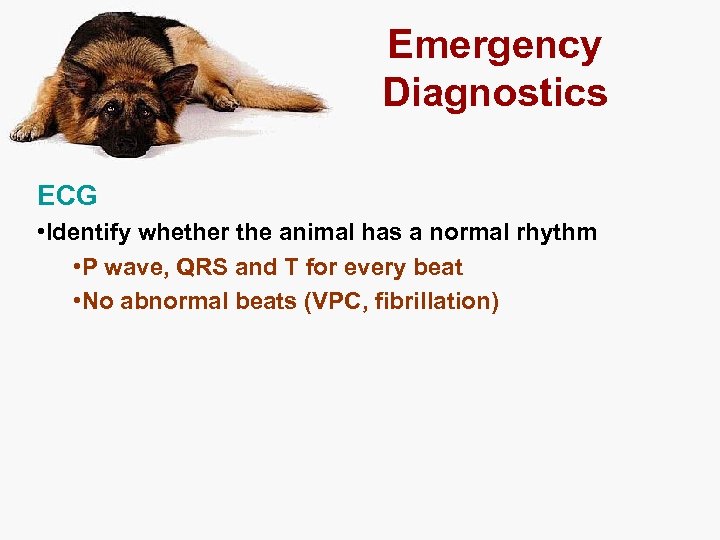 Emergency Diagnostics ECG • Identify whether the animal has a normal rhythm • P