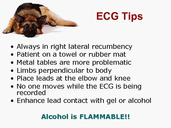 ECG Tips • • • Always in right lateral recumbency Patient on a towel