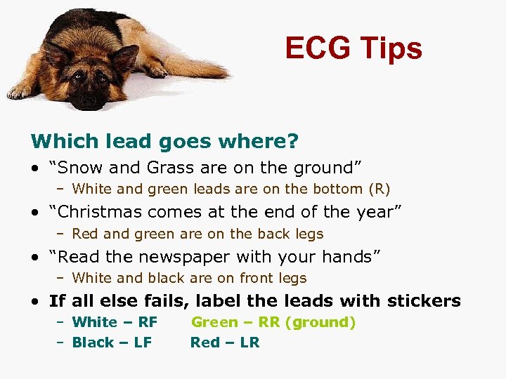 ECG Tips Which lead goes where? • “Snow and Grass are on the ground”