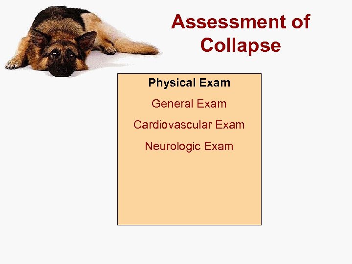 Assessment of Collapse Physical Exam General Exam Cardiovascular Exam Neurologic Exam 