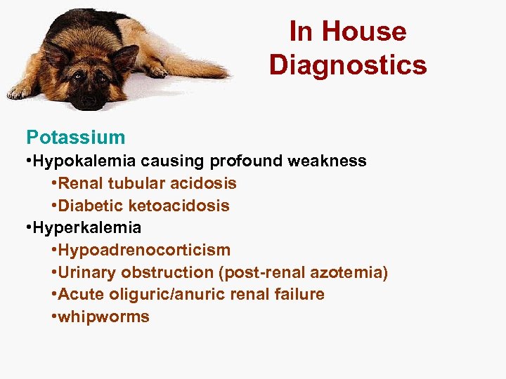 In House Diagnostics Potassium • Hypokalemia causing profound weakness • Renal tubular acidosis •