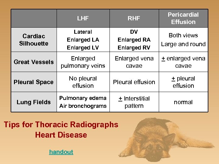 LHF RHF Pericardial Effusion Cardiac Silhouette Lateral Enlarged LA Enlarged LV DV Enlarged RA