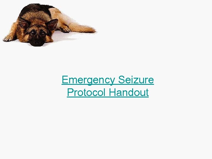 Emergency Seizure Protocol Handout 