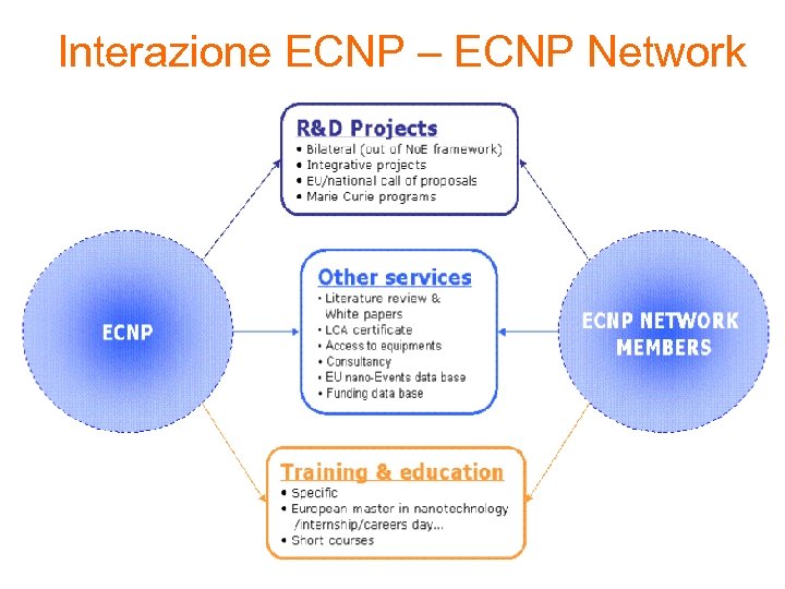 Interazione ECNP – ECNP Network 