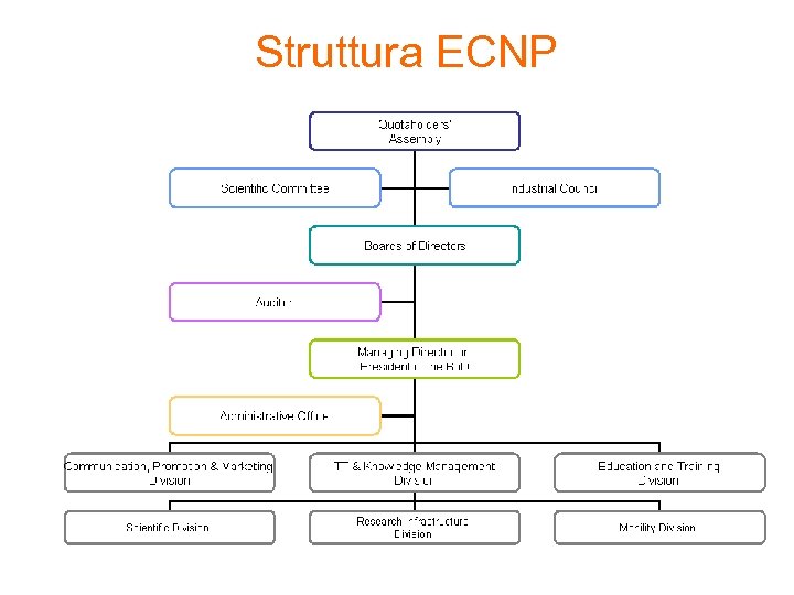 Struttura ECNP 