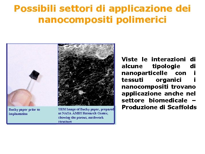 Possibili settori di applicazione dei nanocompositi polimerici Bucky paper prior to implantation SEM Image