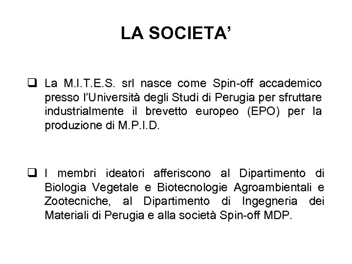 LA SOCIETA’ q La M. I. T. E. S. srl nasce come Spin-off accademico