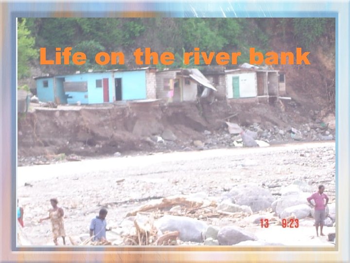 Life on the river bank 