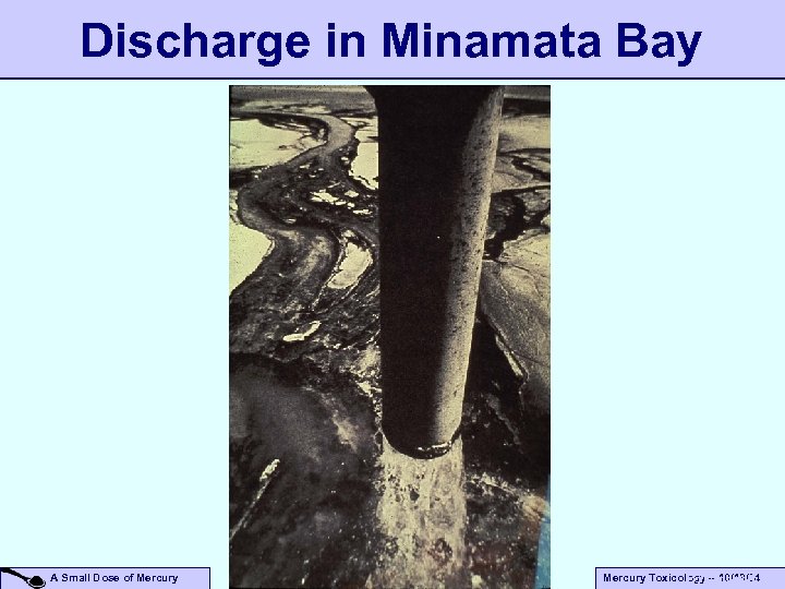 Discharge in Minamata Bay A Small Dose of Mercury Toxicology – 10/13/04 HG Polluting